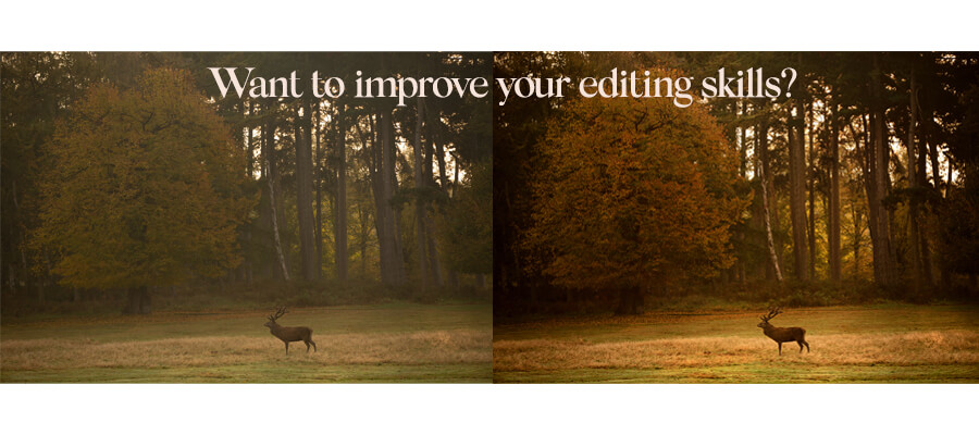 Photo Editing in East Midlands