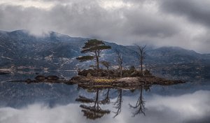 Creative Landscape Photography