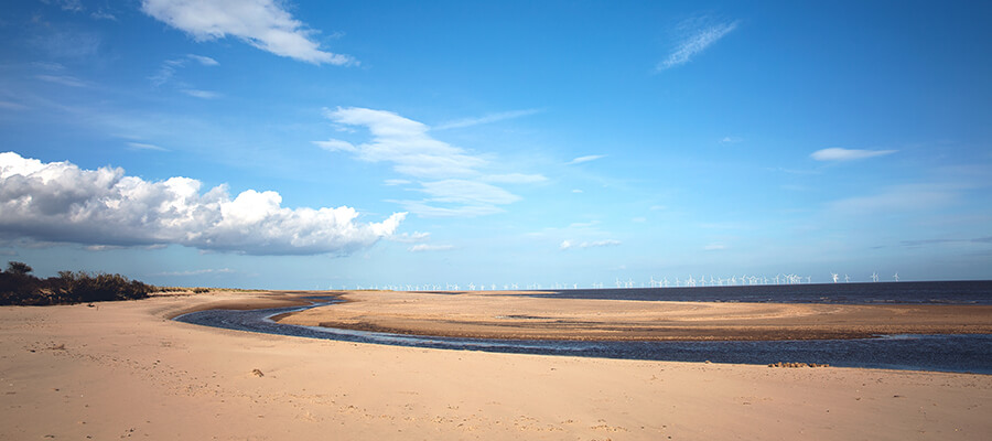 Creative Landscapes in Gibraltar Point