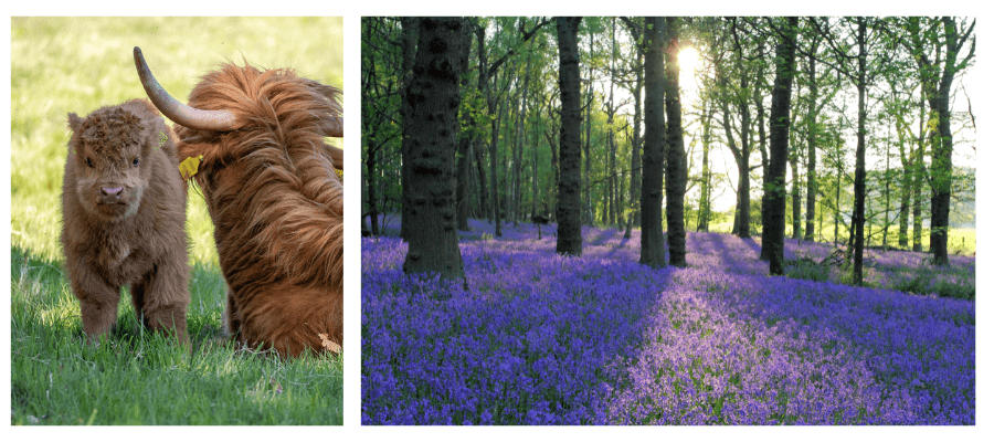 Creative Landscapes in Leeds