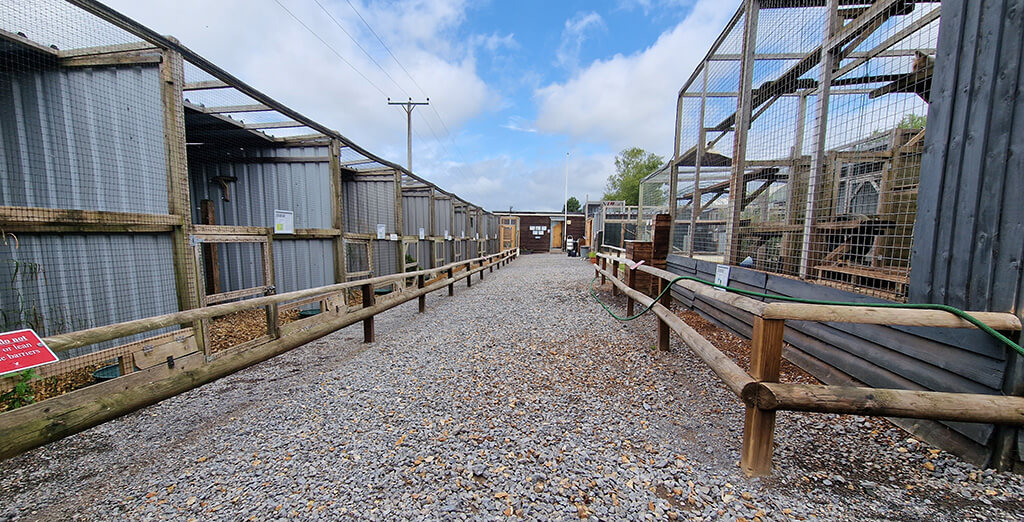 North Somerset Bird of Prey Centre