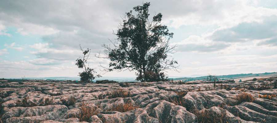 Introduction to Landscape Photography in Yorkshire