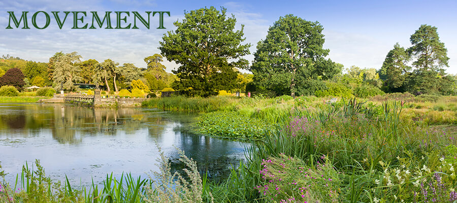 Introduction to Photography - Movement in Trentham Gardens & Estate