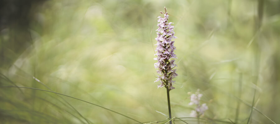 Introduction to Photography - Part 1 - Get off Auto in Crawley, West Sussex