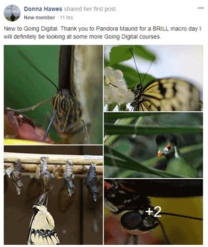 Macro Photography Course Review