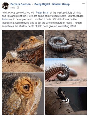 Macro photography workshop review