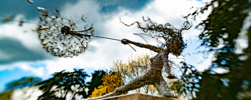 Natalia Shvarts Meet The Team Profile