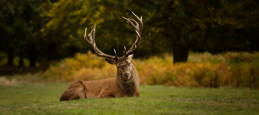 One-to-One Days East Midlands in Nottingham