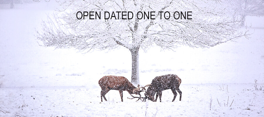One-to-One Days East Midlands in Nottingham