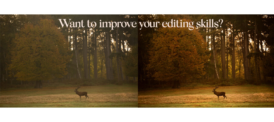 Photo Editing in Nottingham