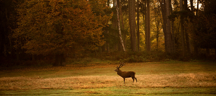 Photo Editing in Nottingham