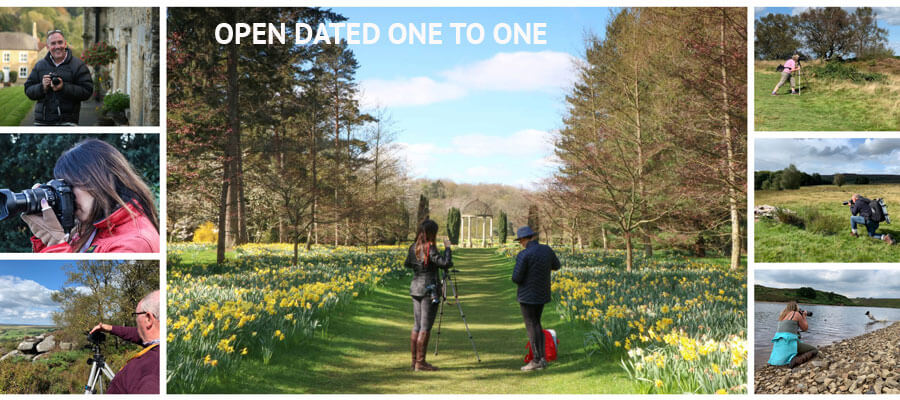 Regional Gift Vouchers in Yorkshire