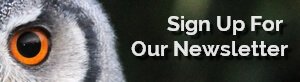 Sign Up For Our Newsletter