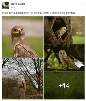 Steve Curtis Photography Course Review