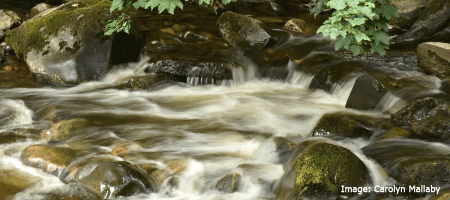 Water & its Moods in Longshaw Estate, Peak District