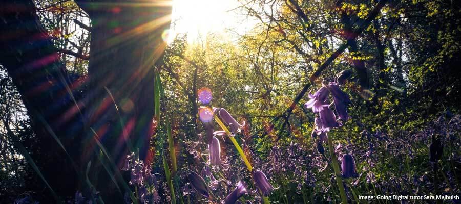 Wildlife & Nature on Location in London Photography Courses