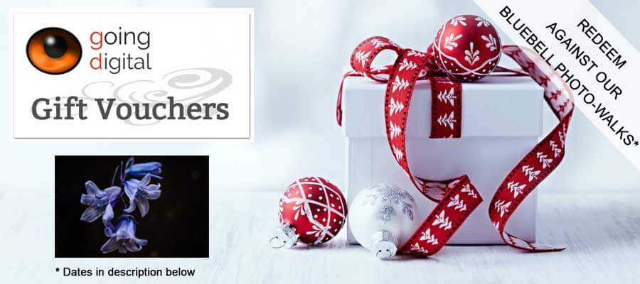 Wildlife & Nature on Location in London Photography Courses