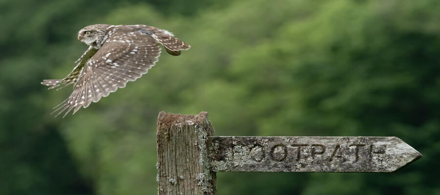 Wildlife Masterclasses in Photography Events in Yorkshire