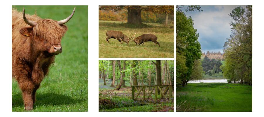 Wildlife Photography in Leeds