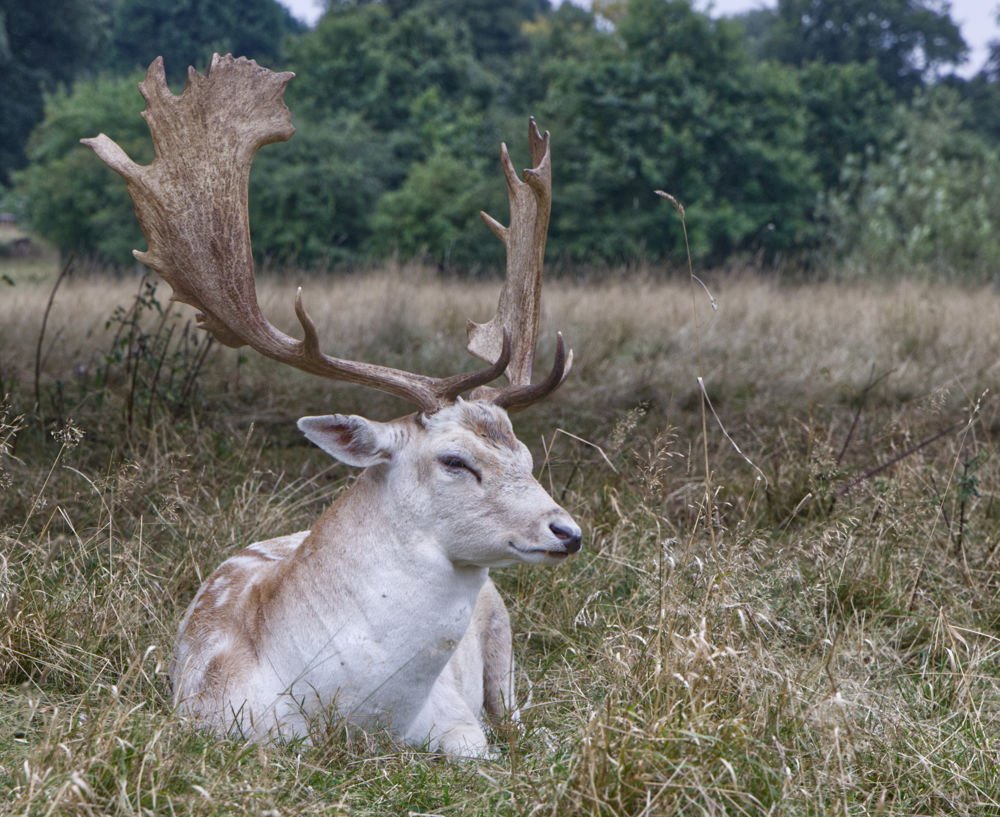 Wildlife & Nature on Location