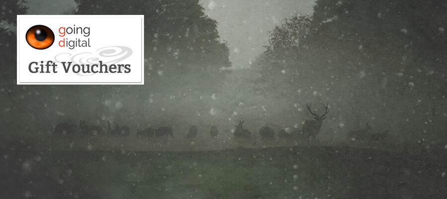 VOUCHER  Sth Mid     copy ULU6249 xmas  web   900 x 400.jpg