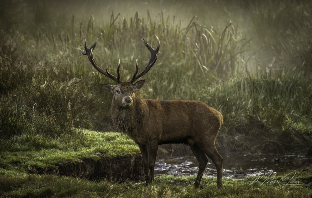 Tatton Park, Cheshire