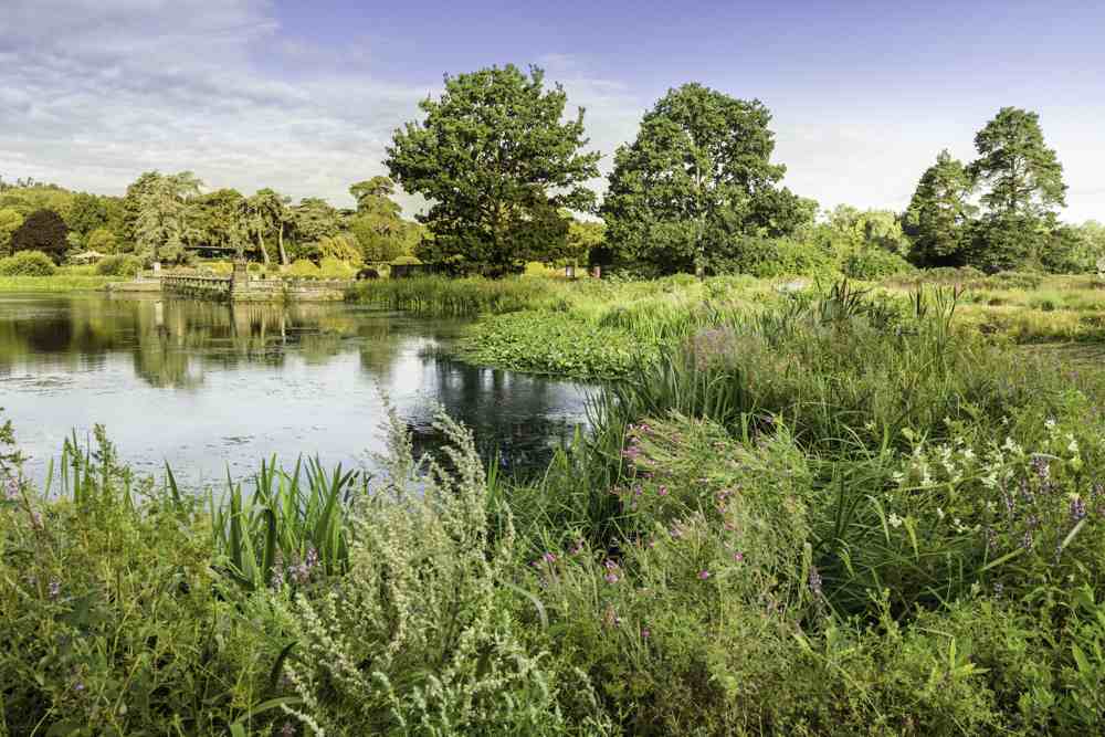 Trentham Gardens & Estate