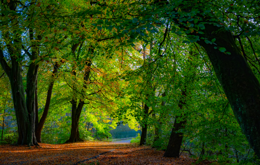 Lancashire
